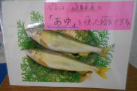 鮎紹介