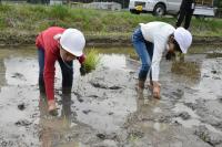 地元の農業を学ぶ　大桑小学校田植え体験 【令和7年5月12日】