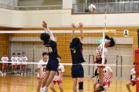 日韓青少年夏季スポーツ交流