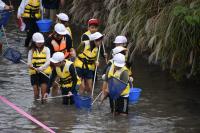鳥羽川生き物採取