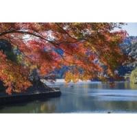伊自良湖の紅葉の画像