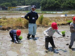 田植え2