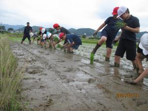 taue2