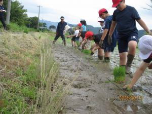 taue3