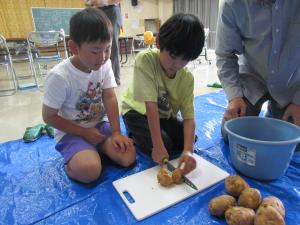 カワニナのえさやりをしたよ