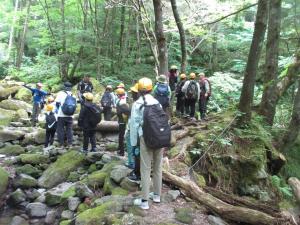 gosikigahara1