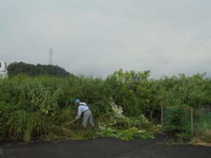 草刈り