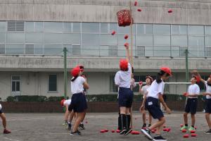 令和7年度運動会を実施しました！