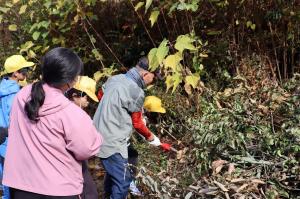 粗朶の学習をしたよ！