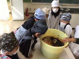 手作り味噌ができたよ！