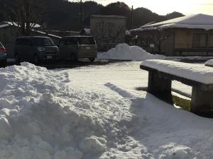 雪とイチョウの木
