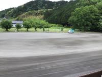 雑草との闘い