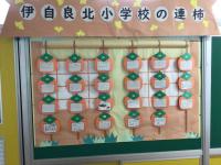 伊自良北小みんなの連柿