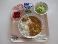kyusyoku1