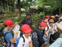 森と川の学校に行きました