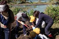 さつまいもほりをしたよ！