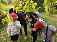 南北合同学習「四国山公園へ行こう！」